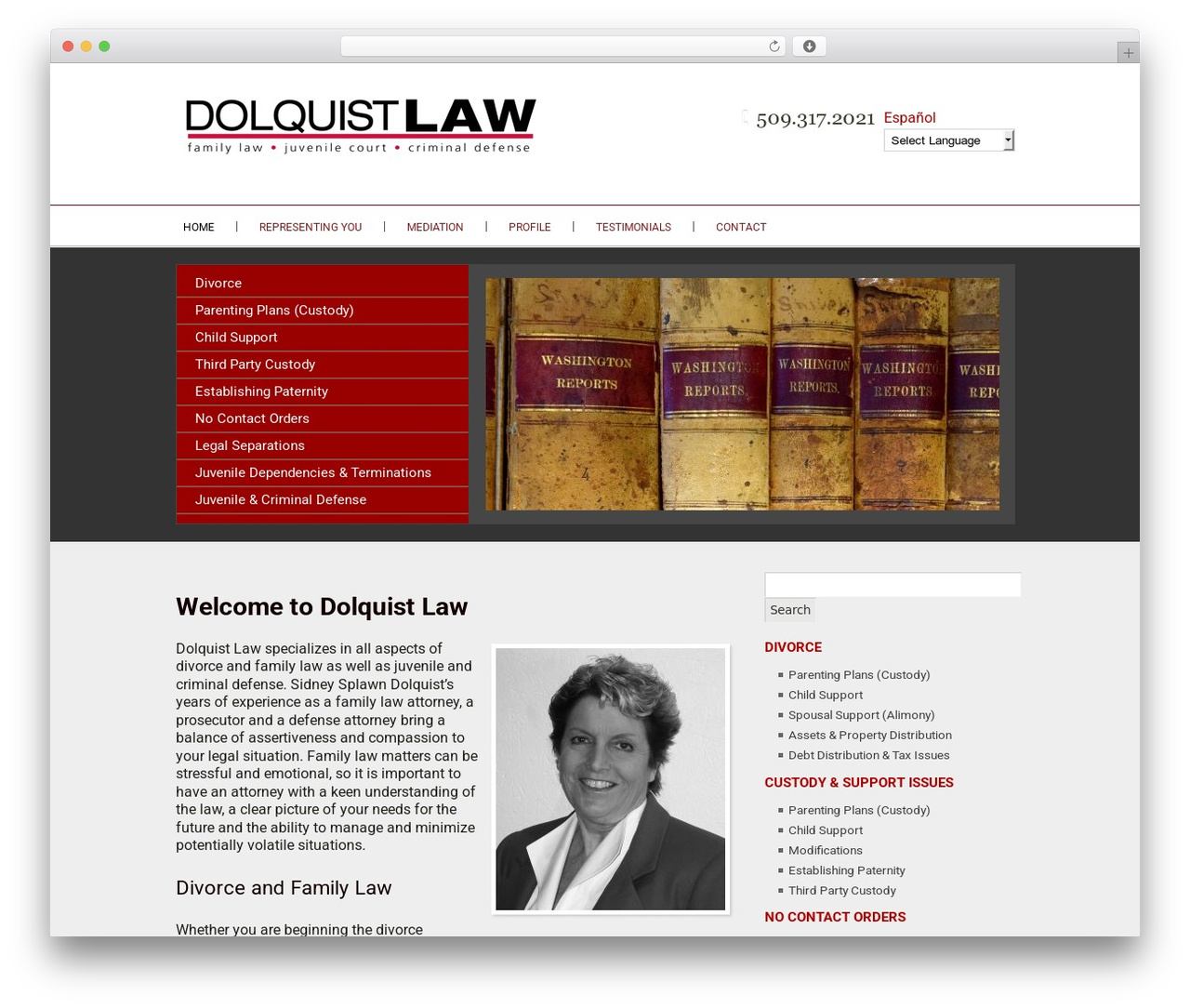 Vertical WP theme - dolquist-law.com Vertical WP theme - dolquist-law.com