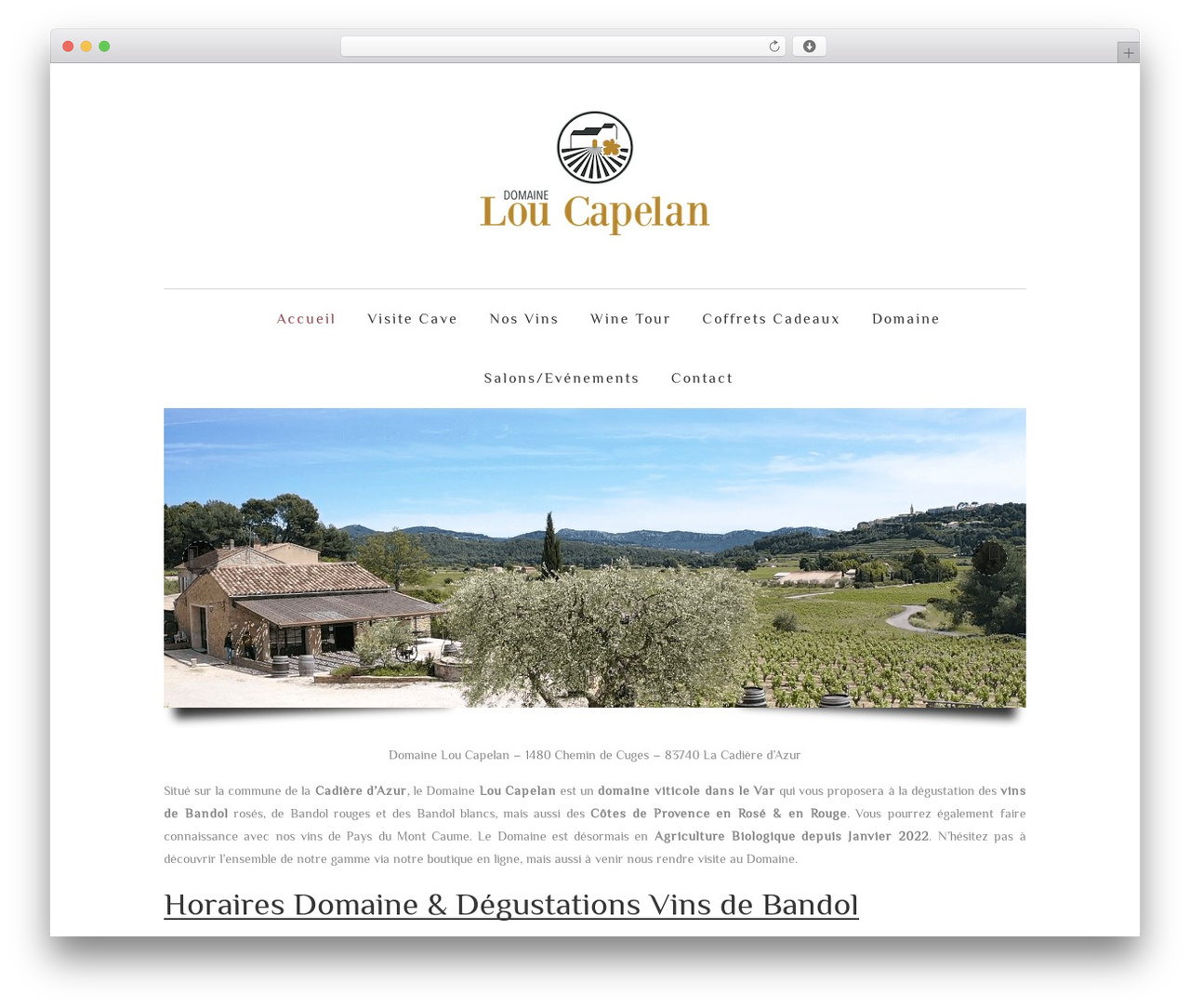 vineyard best WordPress theme - domaineloucapelan.com