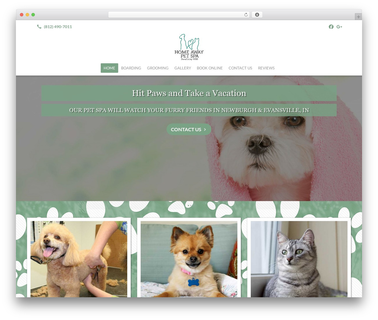 WordPress theme Beacon Theme - homeawaypetspa.com