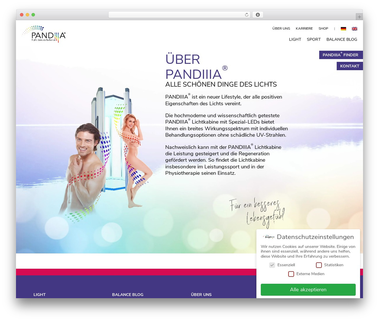 B&C Custom WordPress theme - pandiiia.com