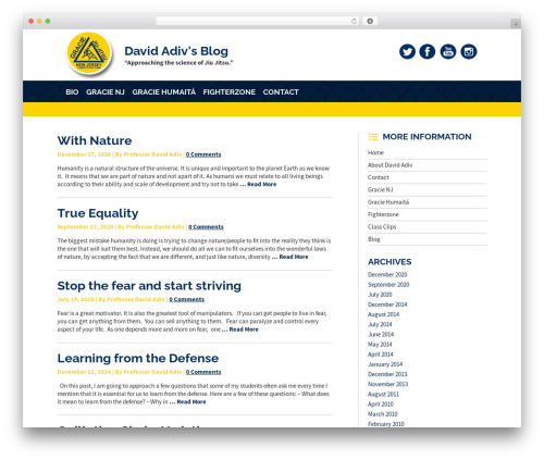 Best WordPress theme David Adiv - davidadiv.com