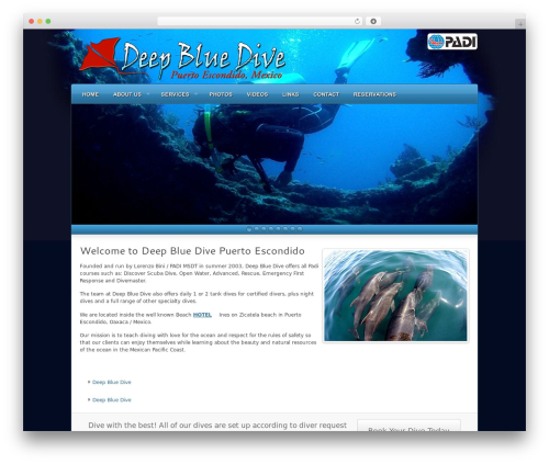 Complexity best WordPress theme - deepbluedivemexico.com