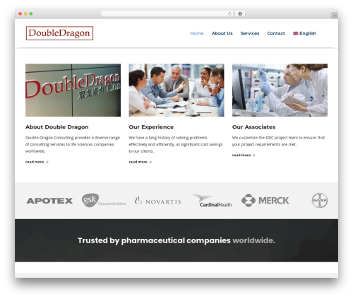 Consulting WordPress theme - doubledragonconsulting.com