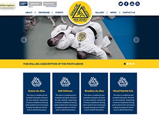 David Adiv WordPress theme by Thirteen Graphics
