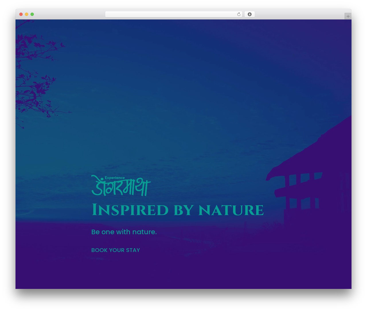Divi theme WordPress - dongarmatha.com