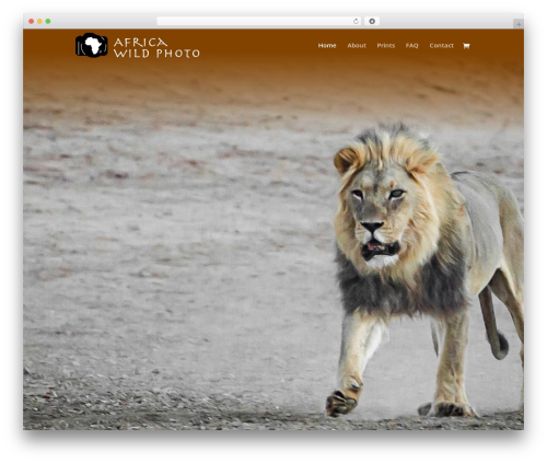 Divi WordPress theme - africawildphoto.com