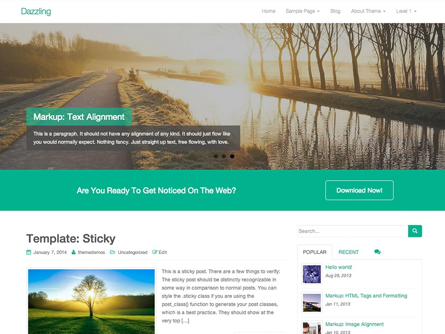 Dorident WordPress theme Dorident WordPress theme