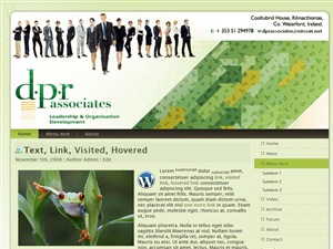 DPR WordPress page theme by Northern Media