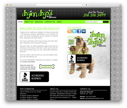 Social Profiles Widget (social-profiles-widget) free WordPress plugin - doginndogout.com