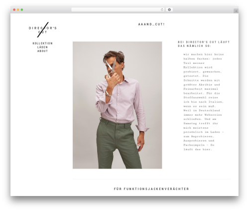 ms-classic WordPress theme - directorscut.biz