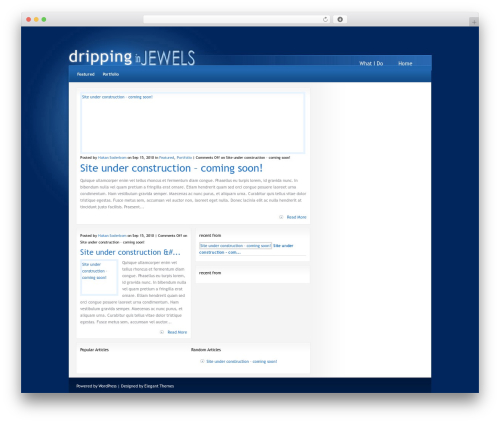 StudioBlue WordPress theme design - drippinginjewels.com