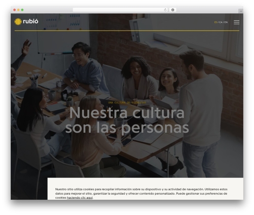WordPress theme Code Barcelona - rubioid.com