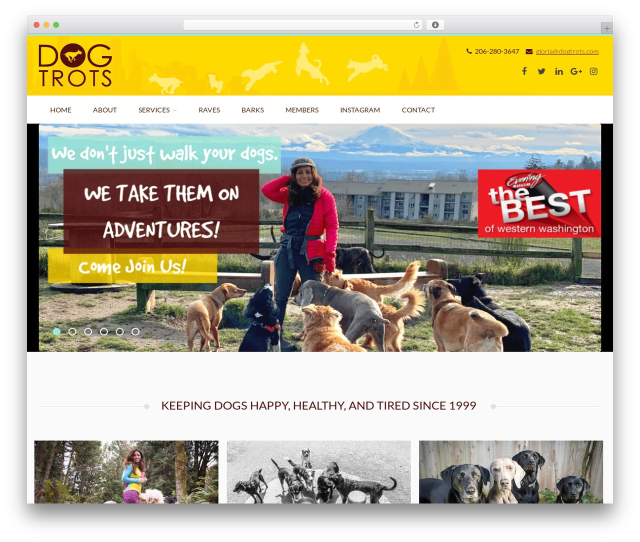 WordPress theme PetSitter - dogtrots.com