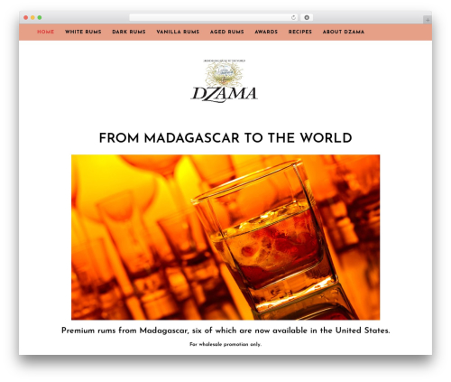 WordPress theme RT The3 - dzamarums.com