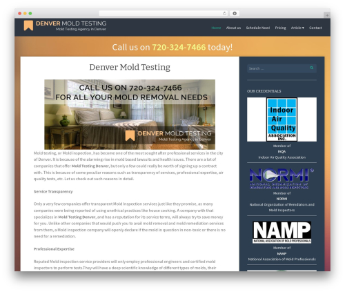 WordPress theme Story - denvermoldtesting.com