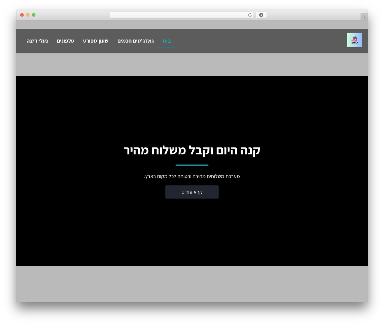 BloomCore WordPress website theme - nehummers.com