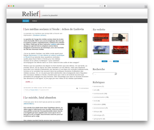 Bongo WordPress theme - francoisguite.com