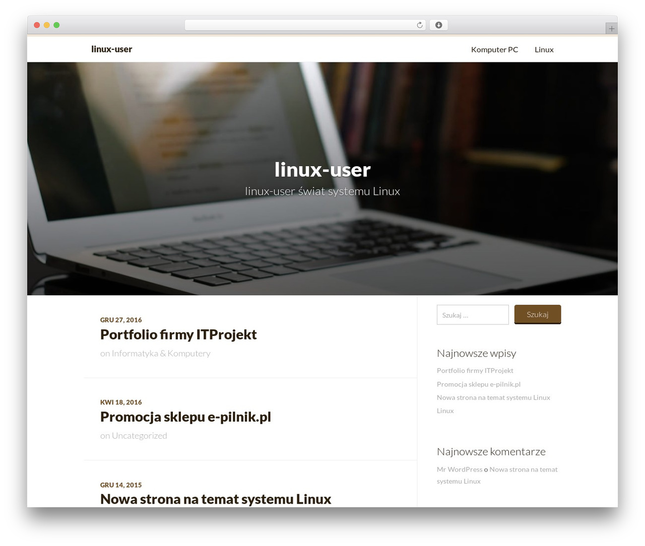 Cinnamon WordPress theme - linux-user.eu