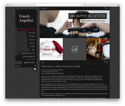 ShowyCase WordPress theme - franckangellini.be