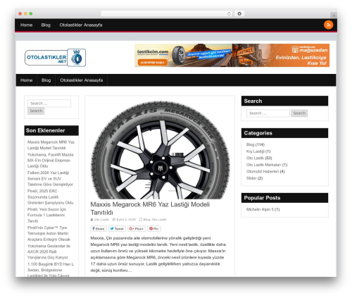 Auto Tag Links (auto-tag-links) free WordPress plugin - otolastikler.net