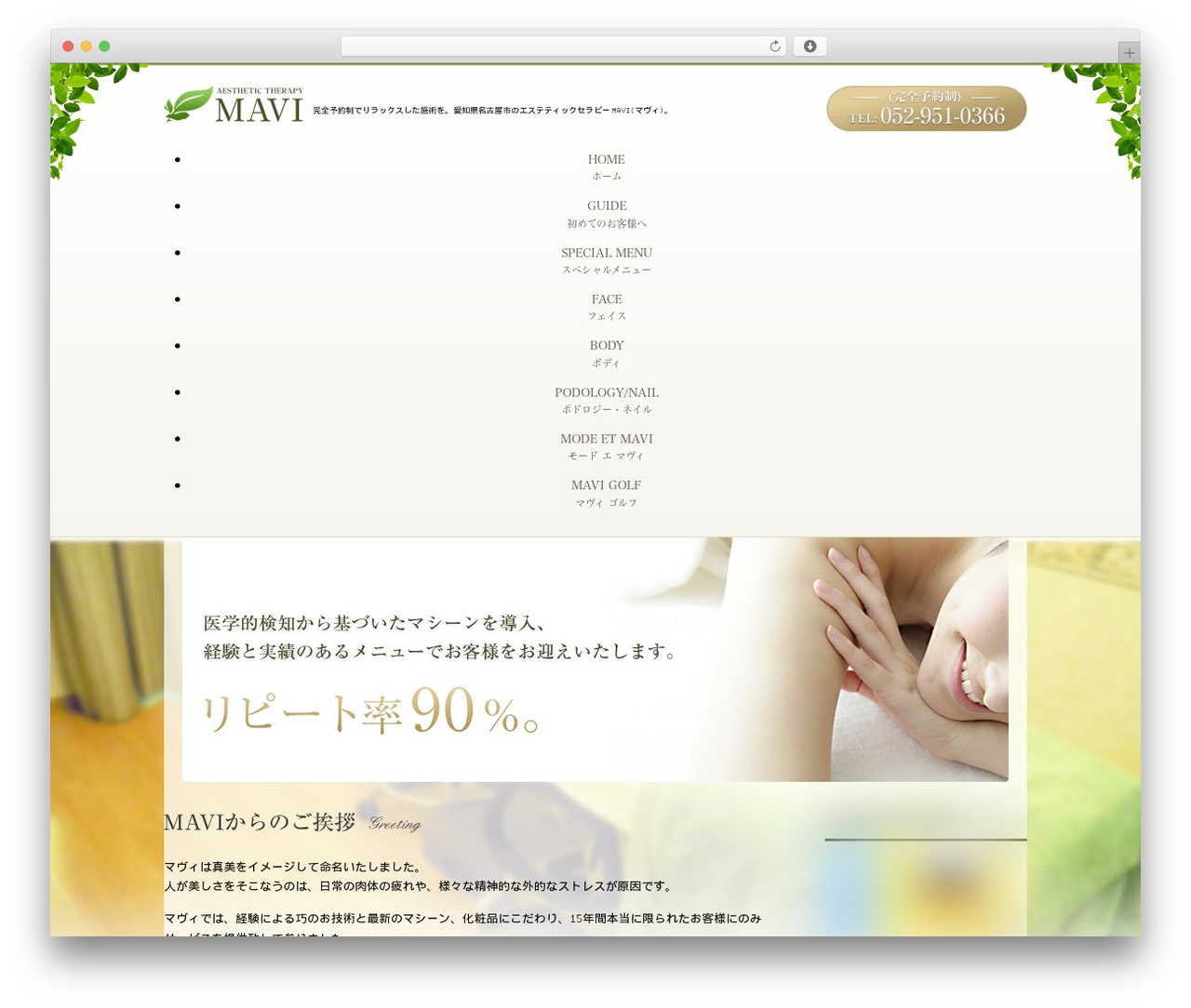 Themify Basic WordPress theme - aesthetic-mavi.com