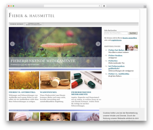 WordPress theme Network-Theme - fieber.net