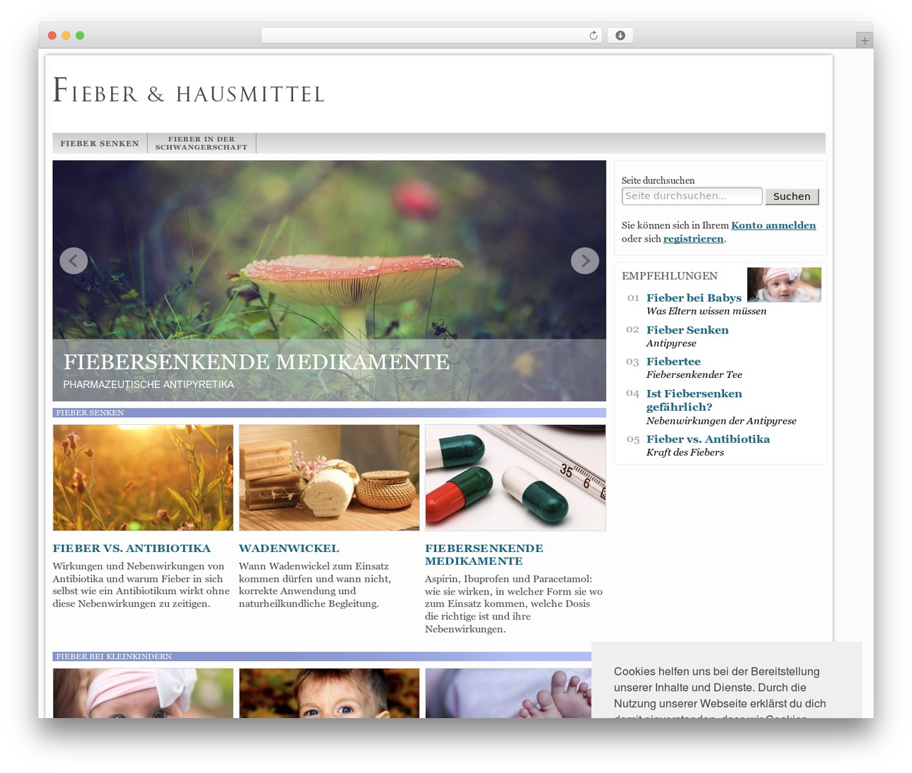 WordPress theme Network-Theme - fieber.net WordPress theme Network-Theme - fieber.net