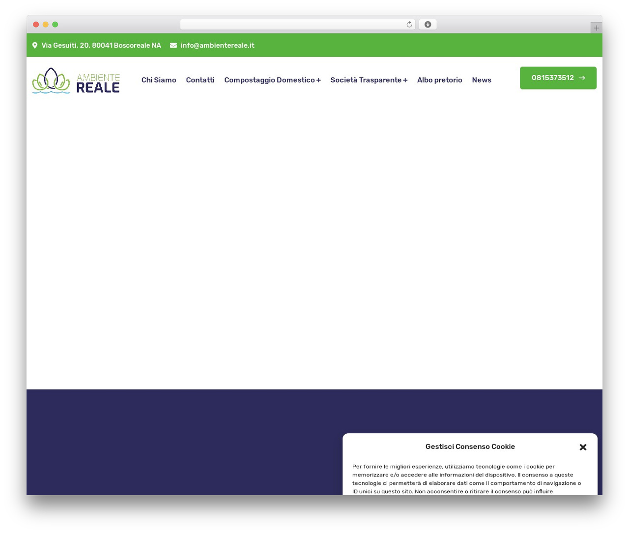 Zingbox theme WordPress - ambientereale.it