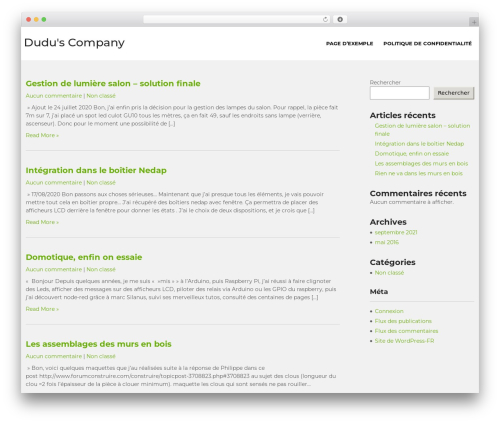 Greenhouse WordPress template for business - dudus-company.com