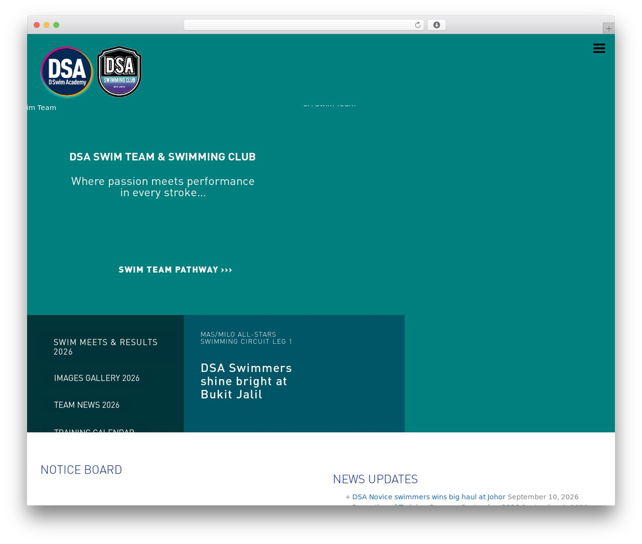 Polytechnic WordPress theme - dsaswimteam.com