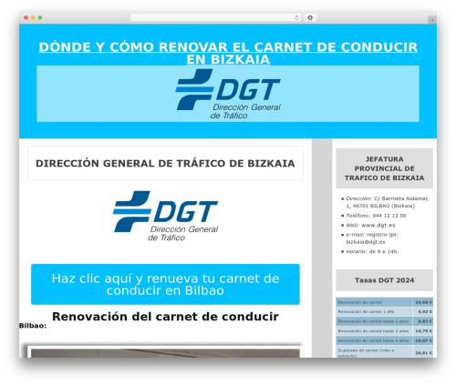 Sylvia WordPress theme design - dgt-jefatura-de-trafico-bizkaia.com