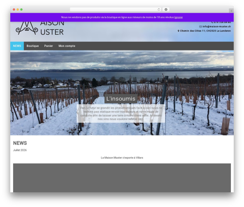 Envo Extra (envo-extra) free WordPress plugin - maison-muster.ch