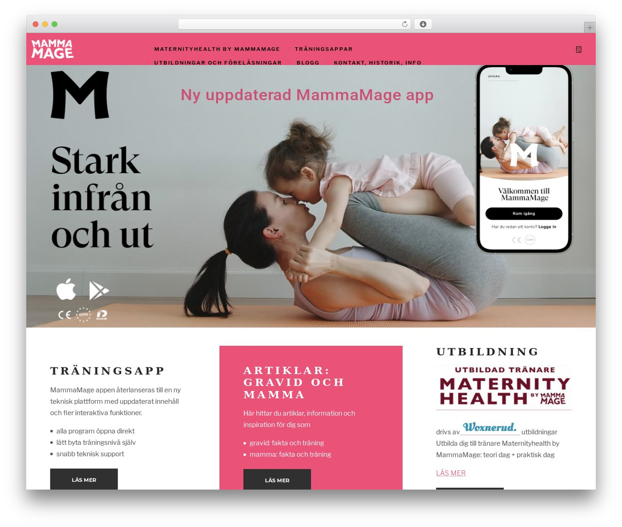 WordPress theme DFD Ronneby - diastas.com