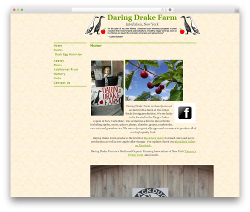 WP theme Atmosphere - daringdrake.com