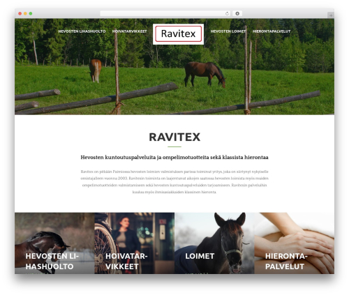 Divi WordPress theme - ravitex.net