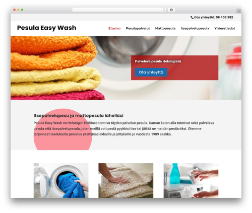 Divi WordPress theme - pesulaew.fi