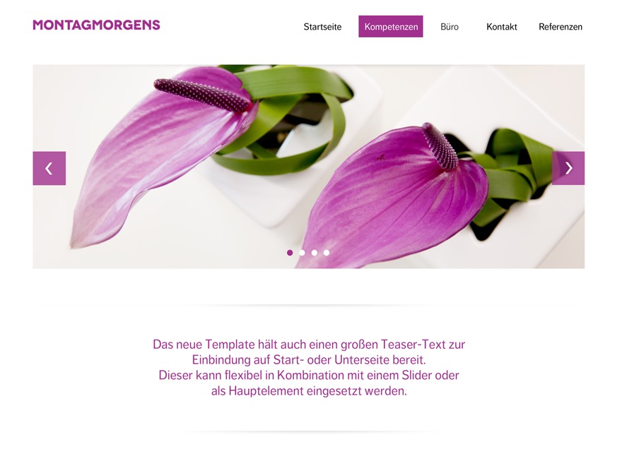 Montagmorgens Template 2014 WP template