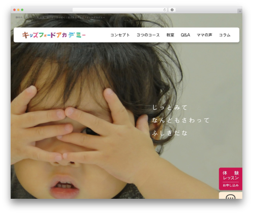 Theme WordPress 　キッズフォードアカデミー - kids-ford.com