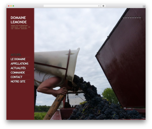 Theme WordPress theme18324 - domainelemonde.com