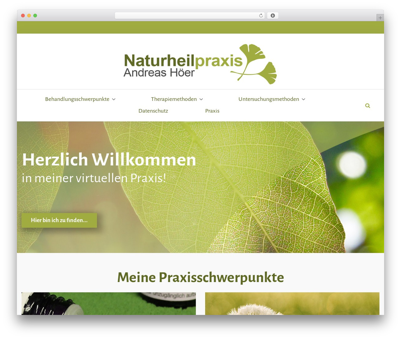 WordPress theme Pristine - naturheilpraxis-hoeer.de