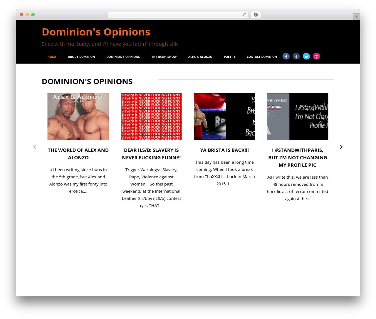 WordPress theme Optimizer PRO - domonyx.com