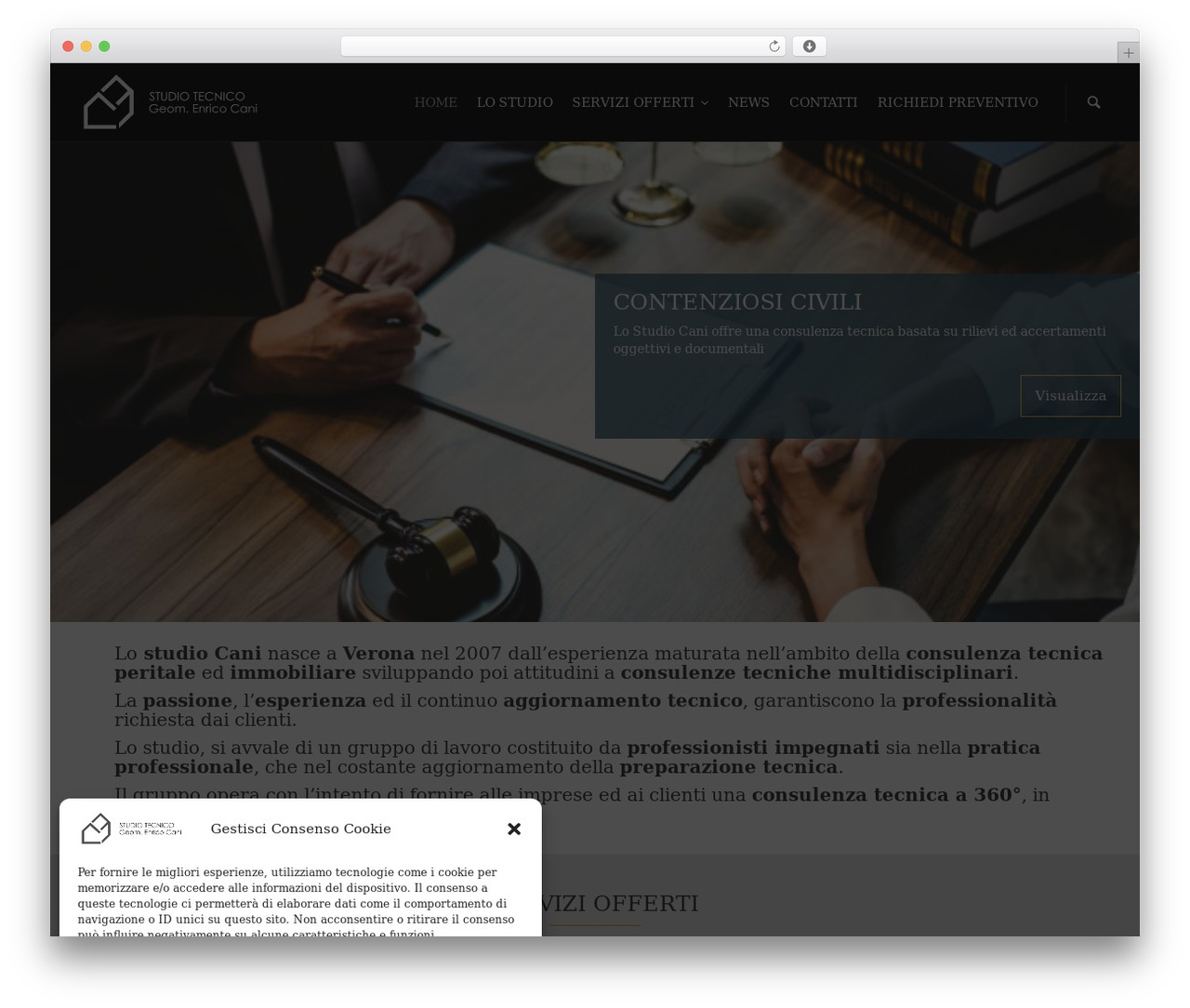 WordPress theme RT-Theme 19 - studiocani.com