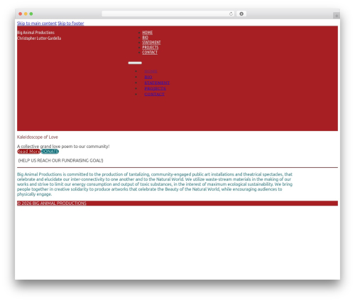 Max addons pro bricks WordPress plugin - christopherlutter.com