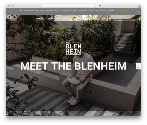 Iver WordPress theme - theblenheimrandwick.com