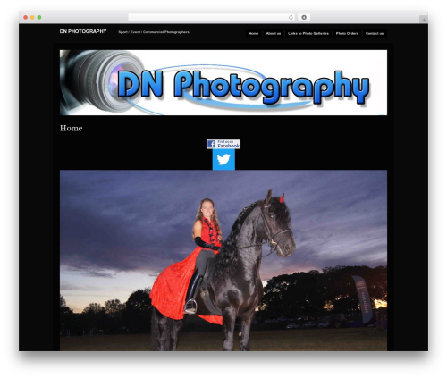 Modularity Lite WordPress gallery theme - dnphotography.co.za