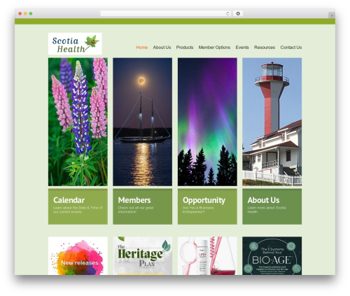 theme2005 WordPress theme - scotiahealth.com