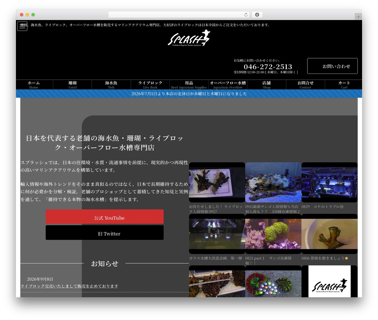 WordPress theme Lightning - splash-aqua.com