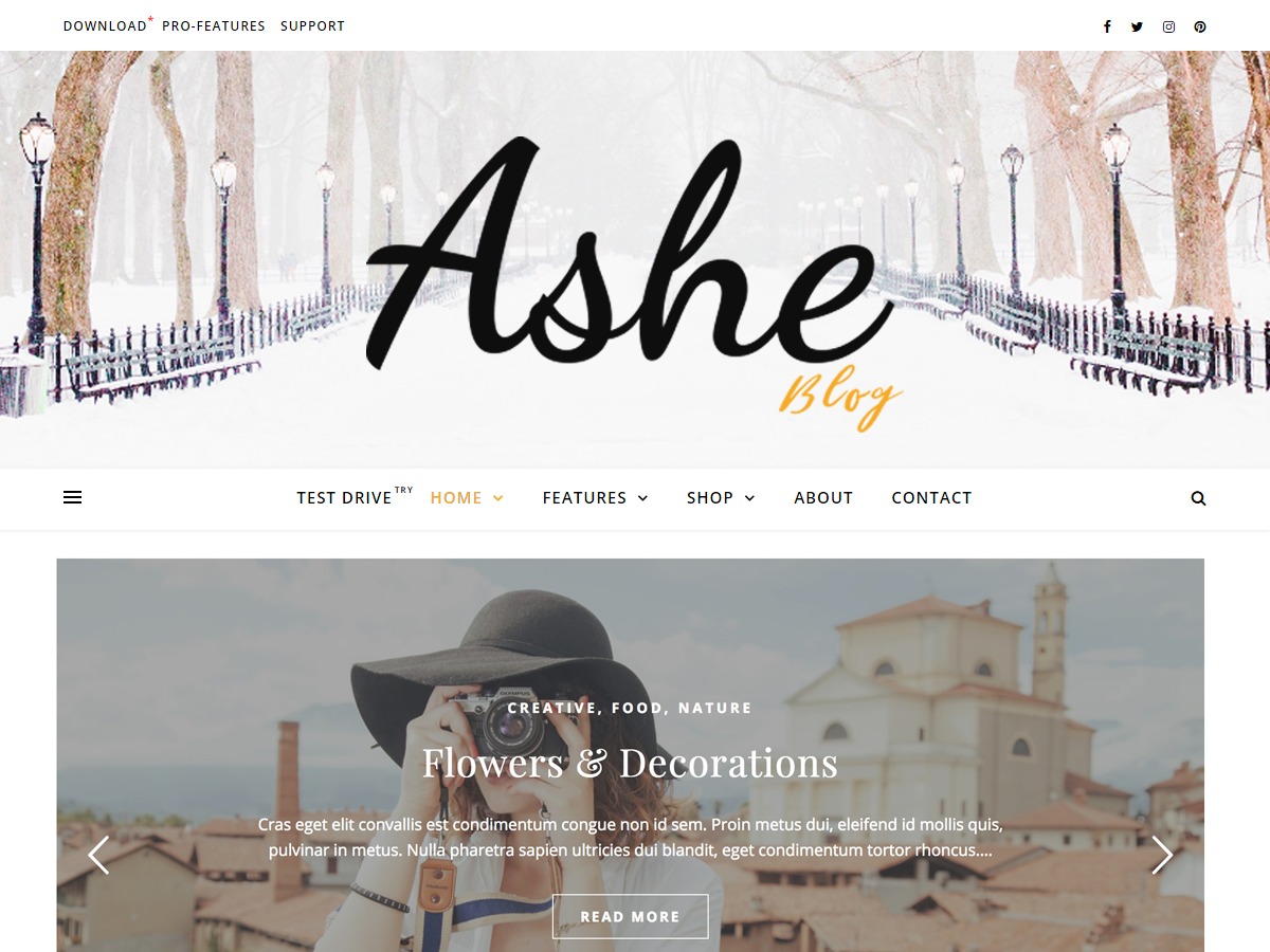 Ashe WordPress store theme