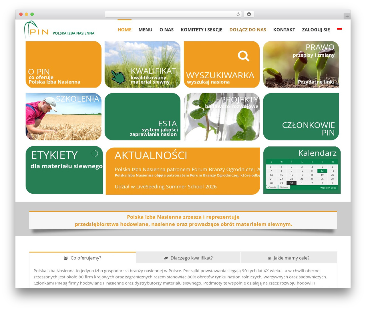 Avada WordPress theme - pin.org.pl