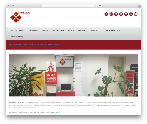 Squash WordPress website theme - keynetware.it